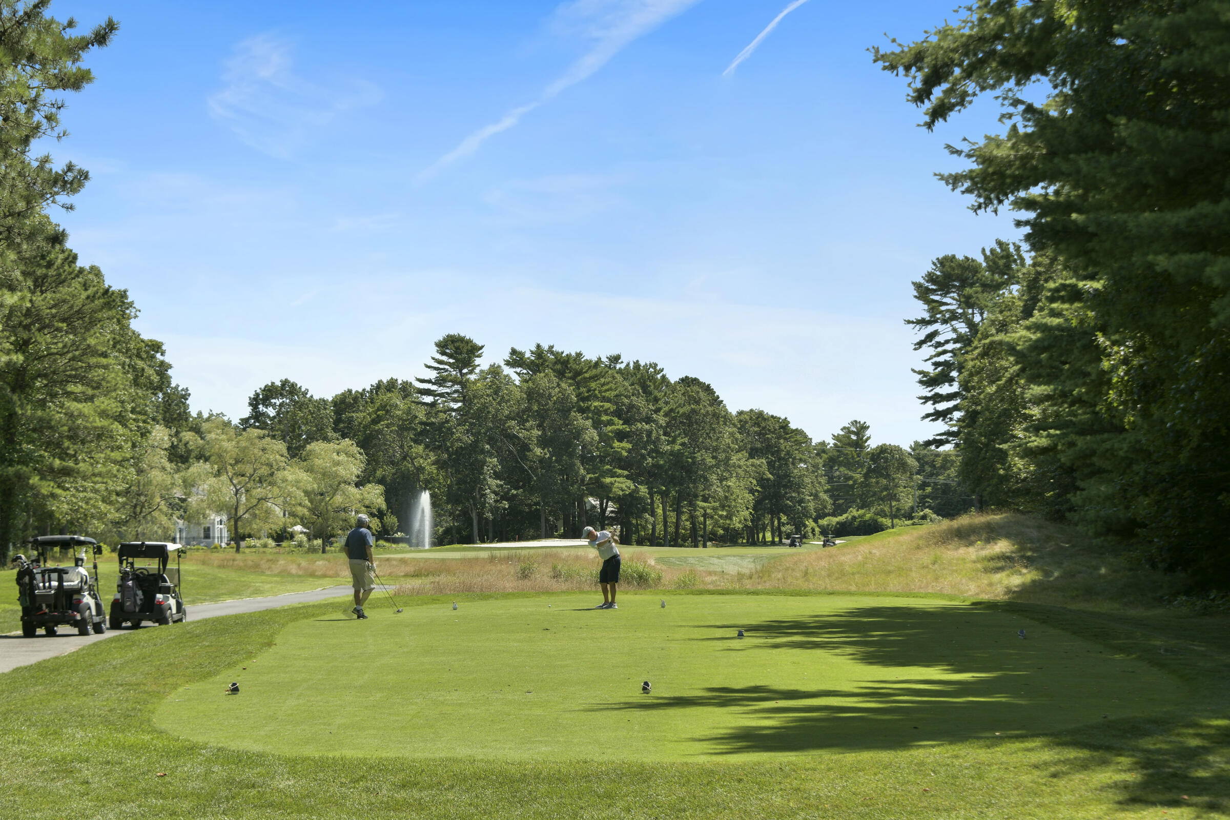 61 Shoestring Bay Road Mashpee, MA 02649 - Photo 10 of 19 DSC_2129