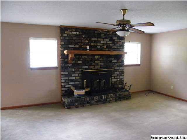 3018 Mount Olive Road Mount Olive, AL 35117 - Photo 4 of 23
