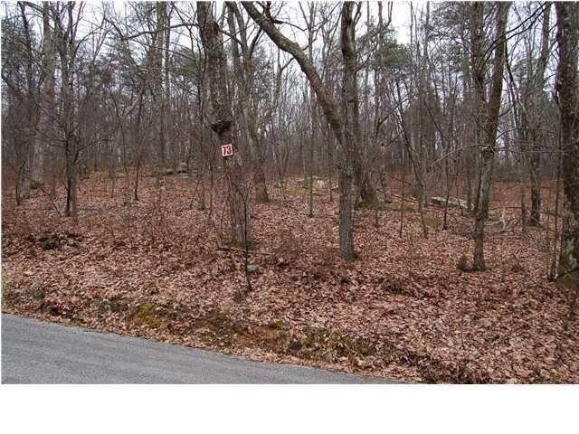 0 Healing Springs Road, Unit 73 Chattanooga, TN 37419 - Photo 1 of 3 HS1