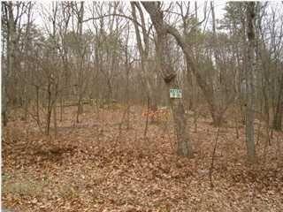 0 Healing Springs Road, Unit 73 Chattanooga, TN 37419 - Photo 3 of 3 hs3