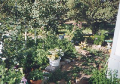 7878 North Red Lake Road Williams, AZ 86046 - Photo 19 of 26 Additional Photo