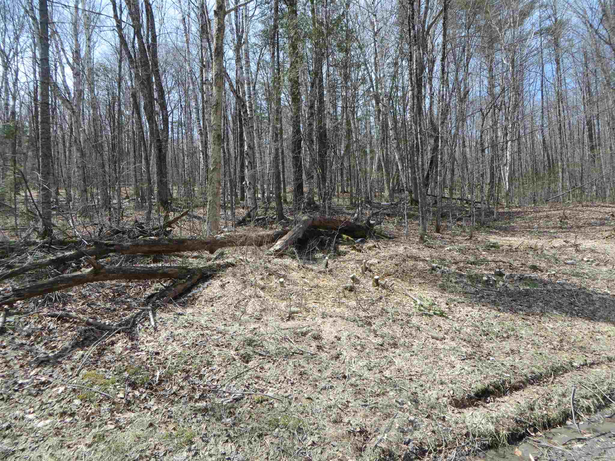 0 Cotton Road Lyndonville, VT 05851 - Photo 4 of 5 Gallery Image 4