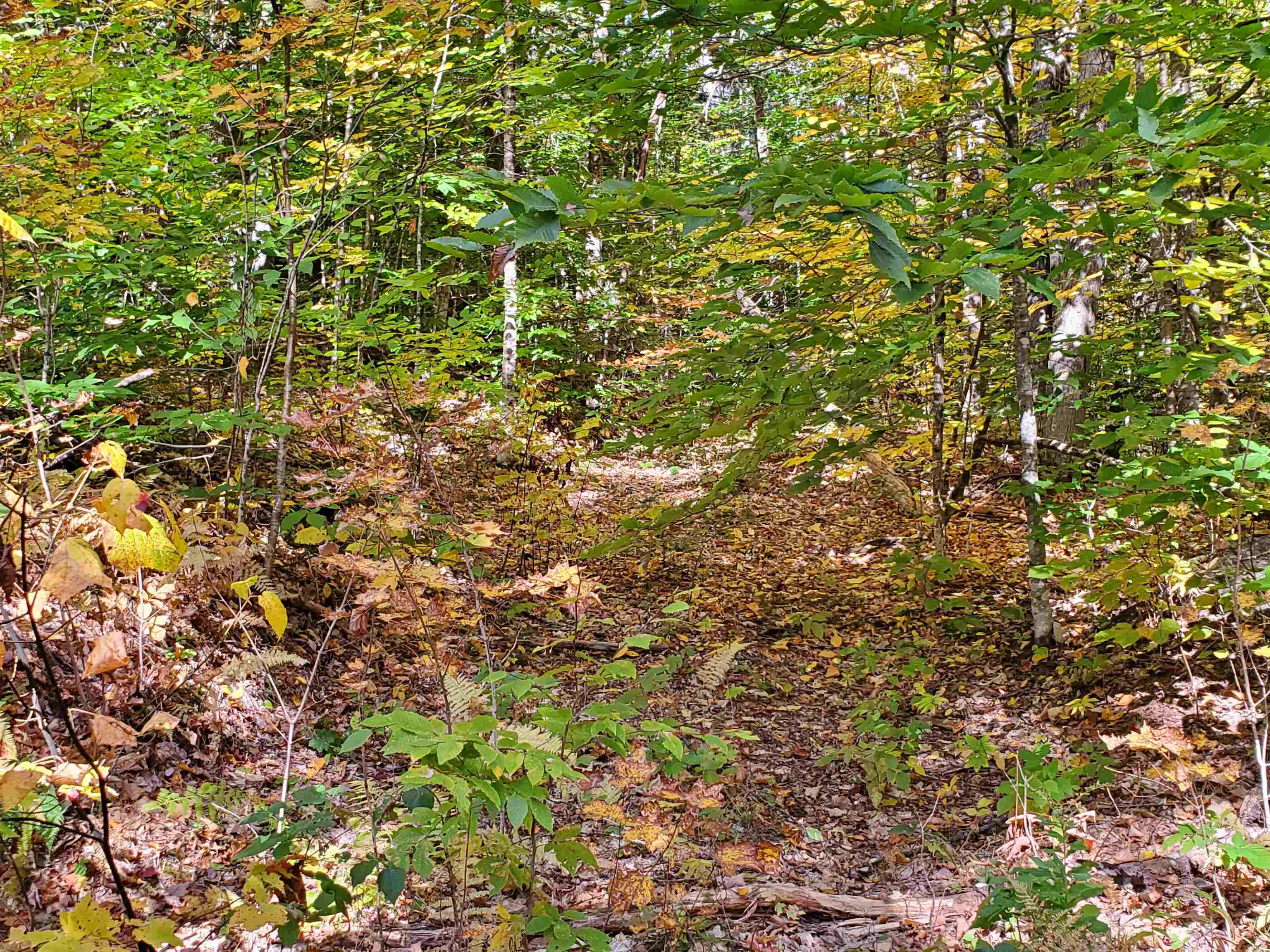 23 Millbrook Road Grafton, NH 03240 - Photo 2 of 9