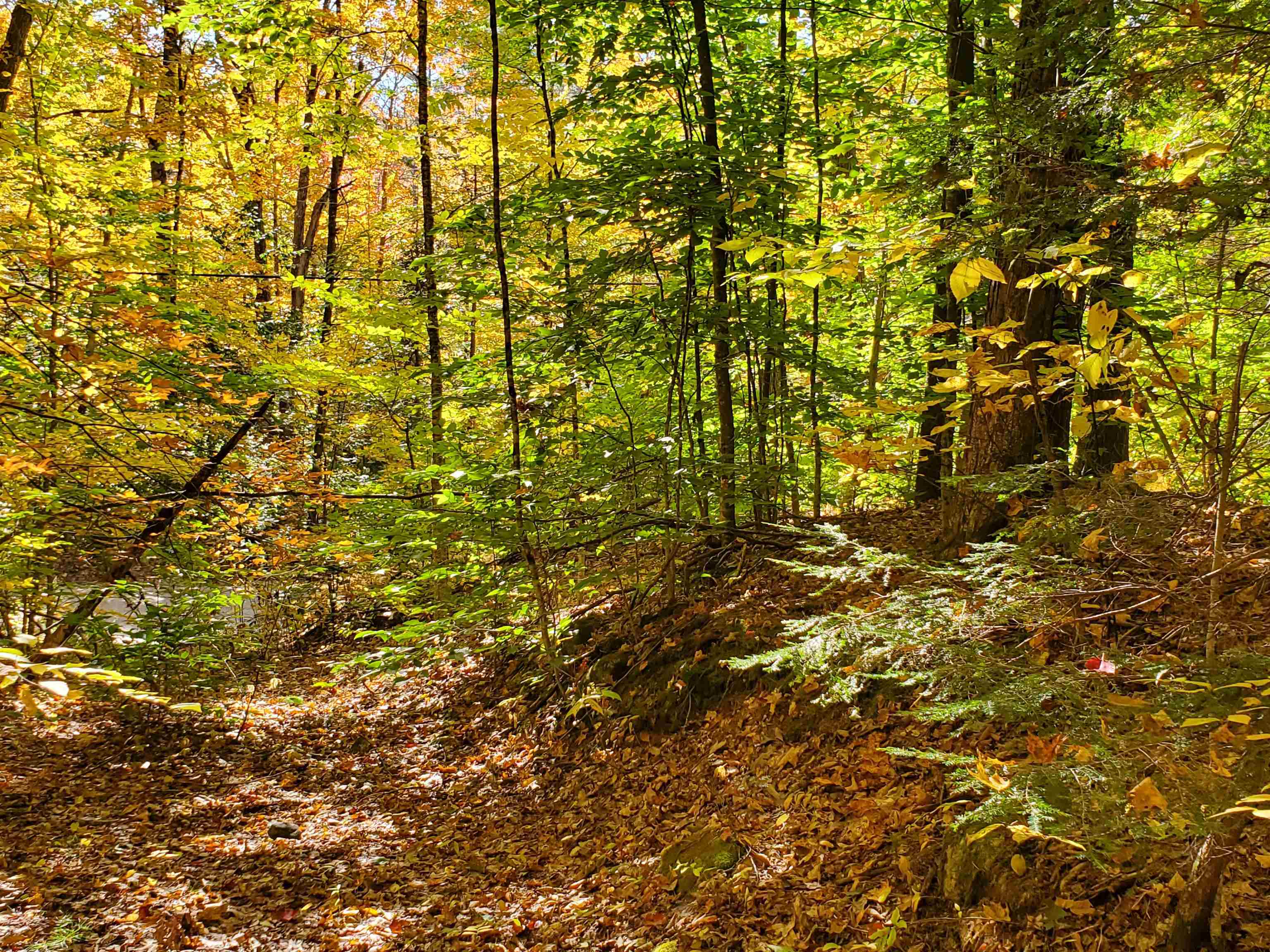 23 Millbrook Road Grafton, NH 03240 - Photo 3 of 9