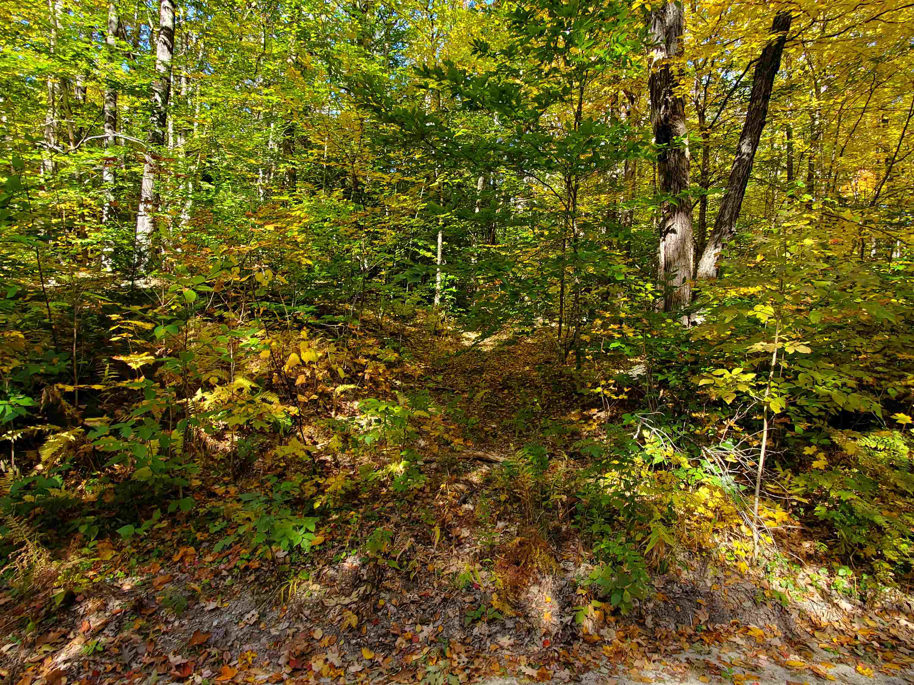 23 Millbrook Road Grafton, NH 03240 - Photo 7 of 9