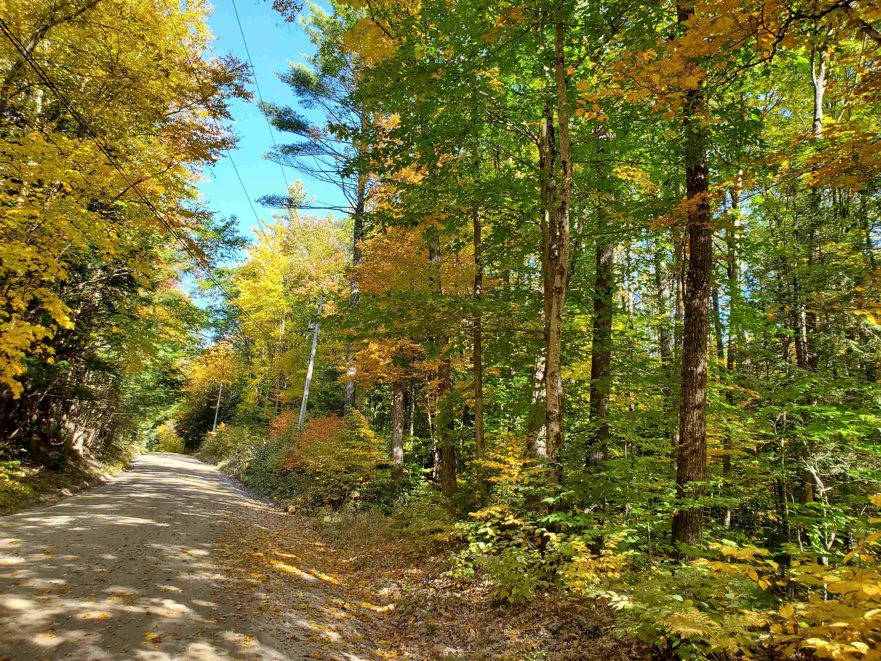 23 Millbrook Road Grafton, NH 03240 - Photo 8 of 9