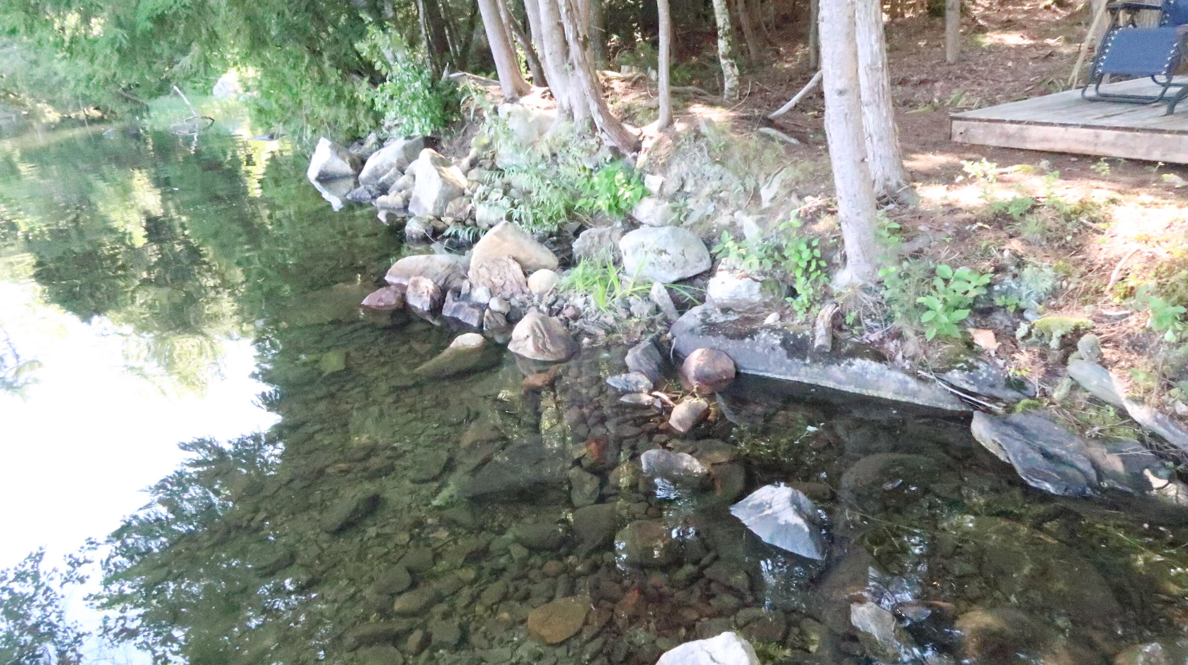 5 Snake Point Road Mount Vernon, ME 04352 - Photo 6 of 24 IMG_1624