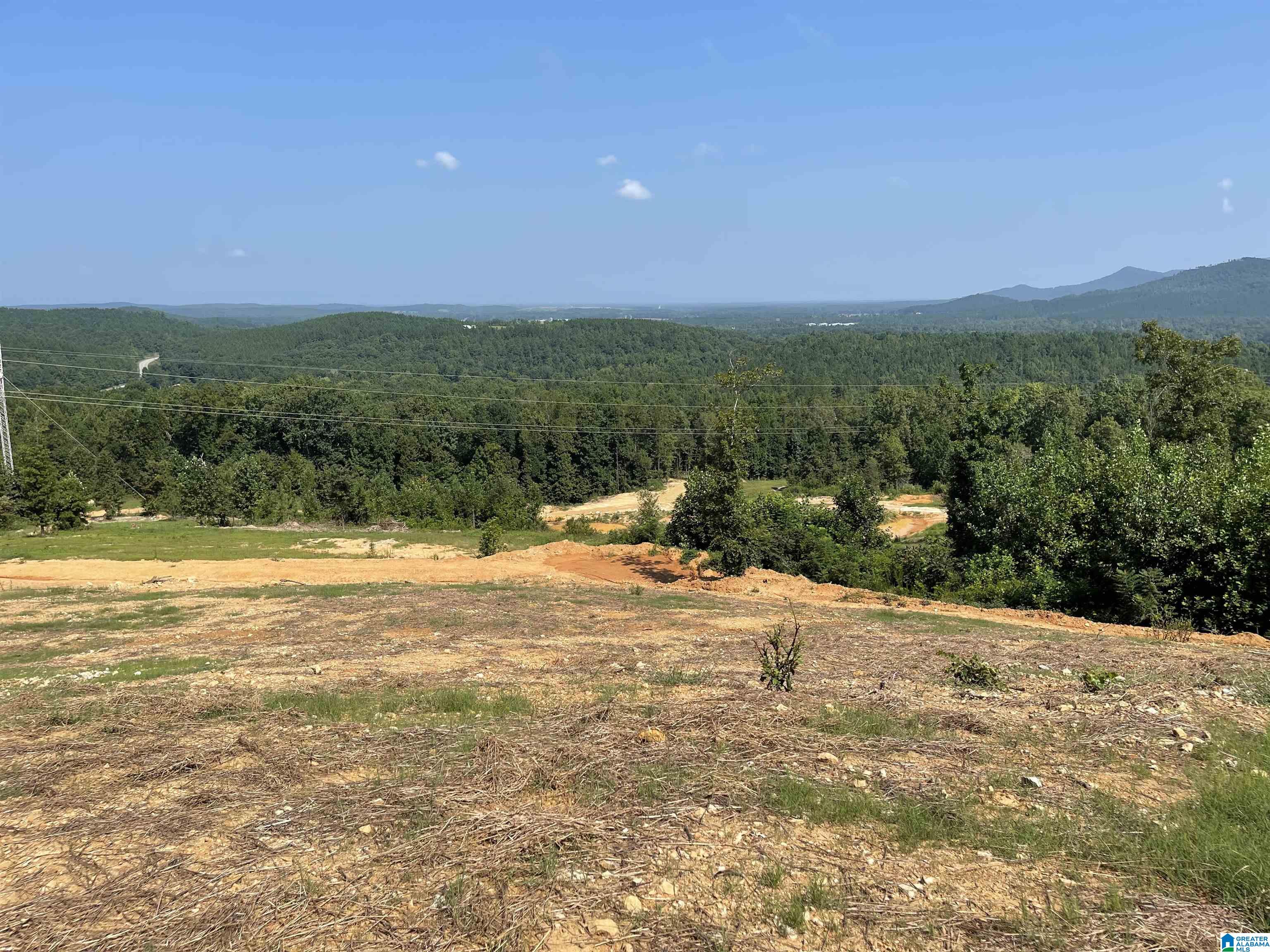 0 Benefield Gap Road Piedmont, AL 36272 - Photo 11 of 24