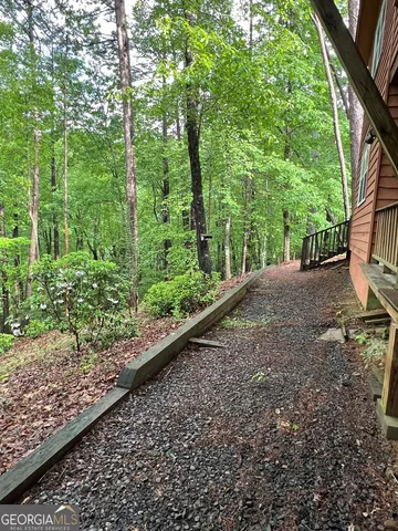 a view of a garden with plants