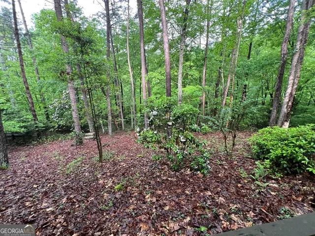 a view of a forest that has large trees