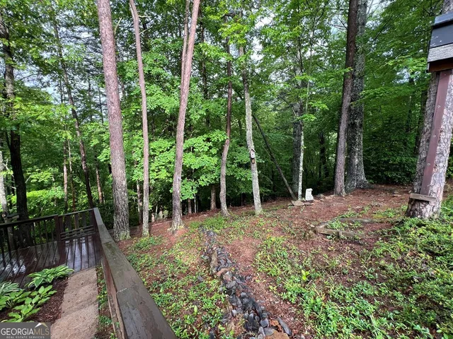 a view of backyard with green space
