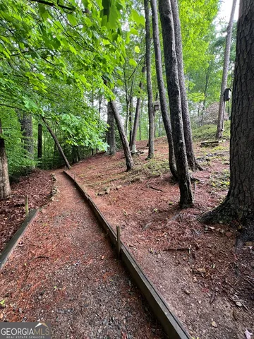 a view of a backyard with large trees