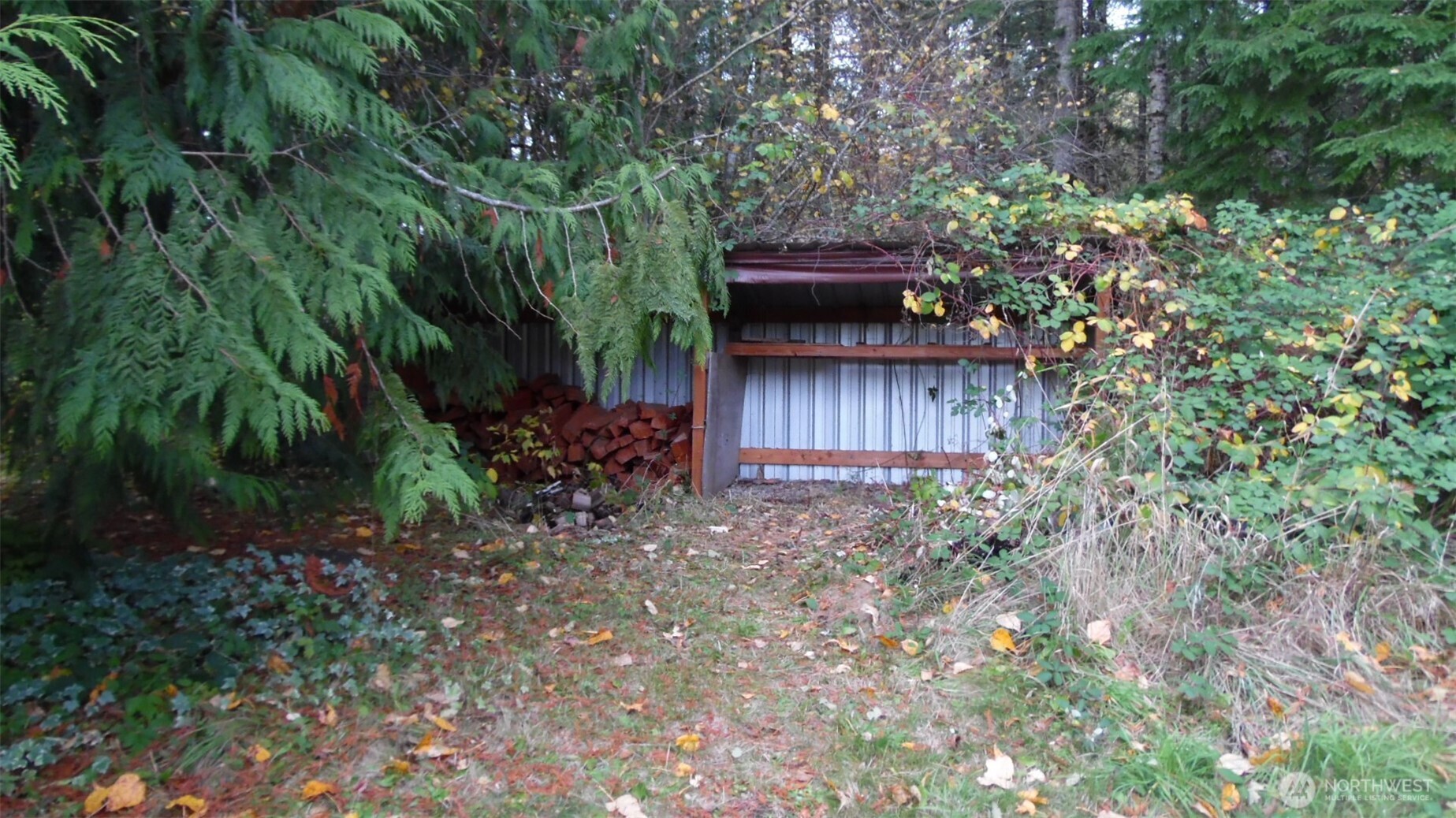 973 Davis Lake Road Morton, WA 98356 - Photo 20 of 23 a view of outdoor space and yard