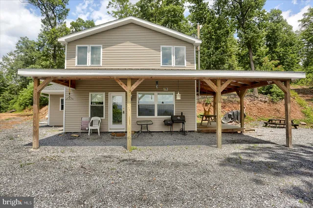 a view of a lush green forest with lots of trees