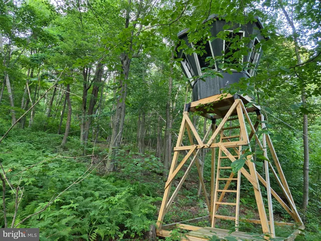 a view of a backyard of the house