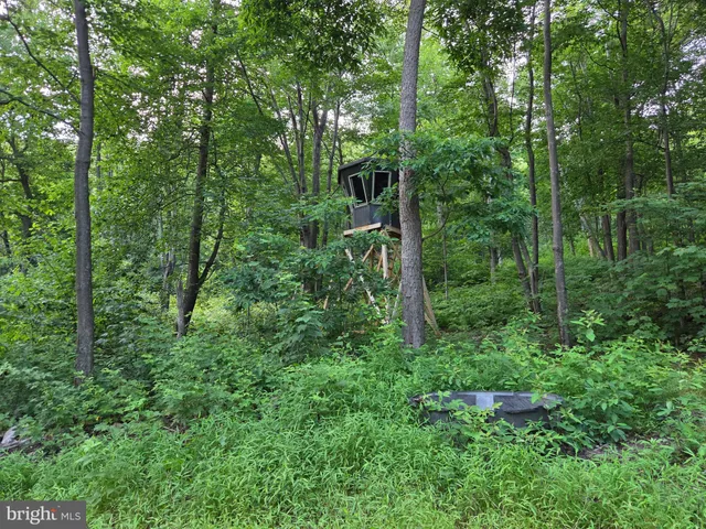 a view of a small house with a yard