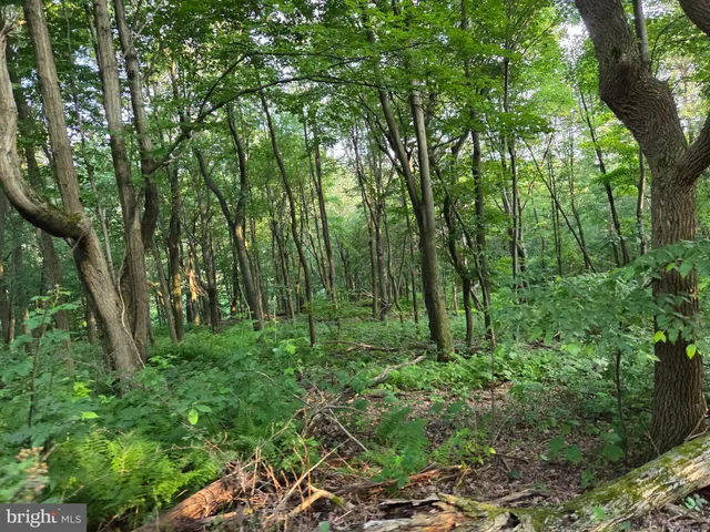 a view of a porch with a table chairs and wooden floor