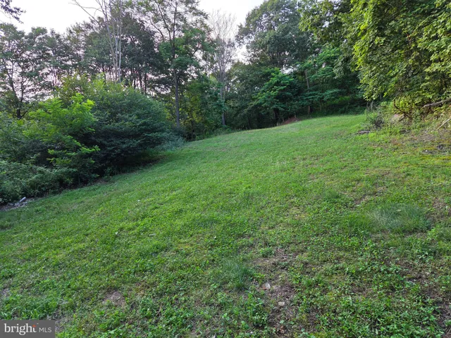 a view of a big yard with plants and a tree