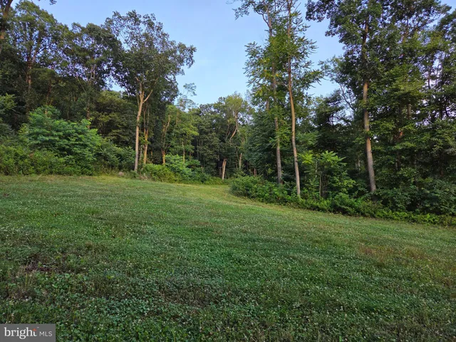 a view of a lush green space