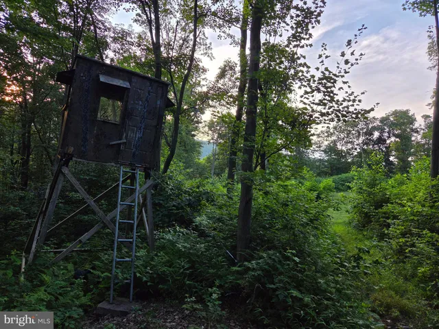 a view of a lush green space with sea