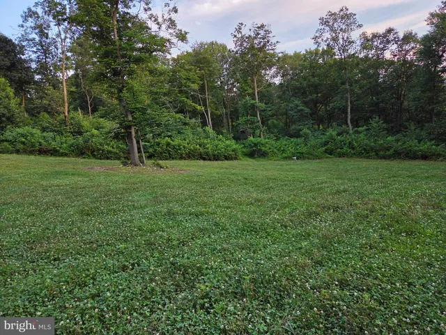 a view of a field with an ocean