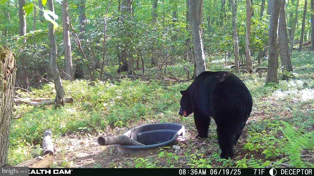 $874,900 | 22504 Igloo Drive, Doylesburg, PA 17219