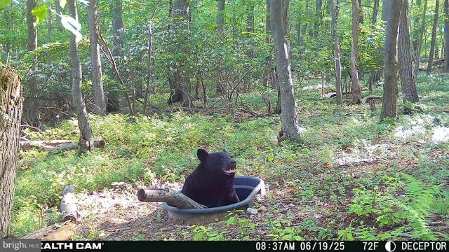 $874,900 | 22504 Igloo Drive, Doylesburg, PA 17219