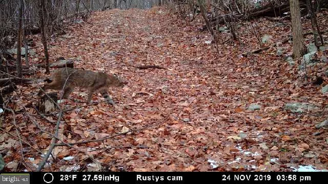 $874,900 | 22504 Igloo Drive, Doylesburg, PA 17219