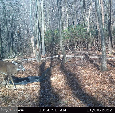 $874,900 | 22504 Igloo Drive, Doylesburg, PA 17219