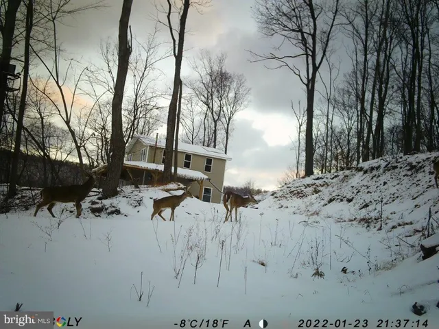 $874,900 | 22504 Igloo Drive, Doylesburg, PA 17219