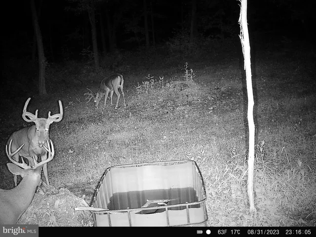 $874,900 | 22504 Igloo Drive, Doylesburg, PA 17219