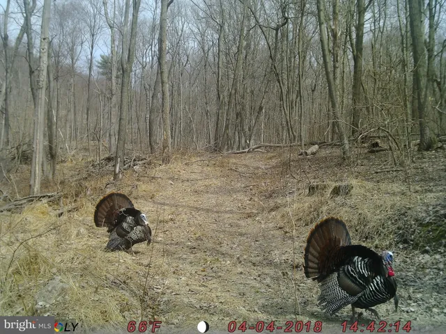 $874,900 | 22504 Igloo Drive, Doylesburg, PA 17219