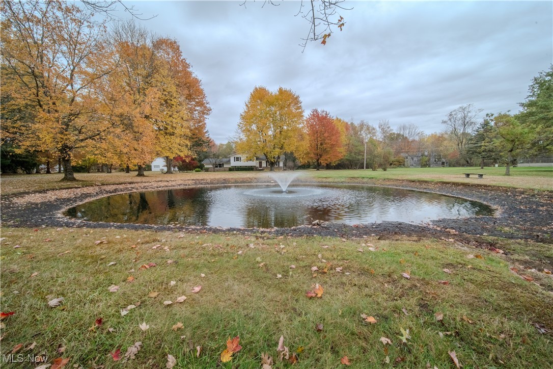 698 Albert Horning Road Atwater, OH 44201 - Photo 16 of 40 Water view