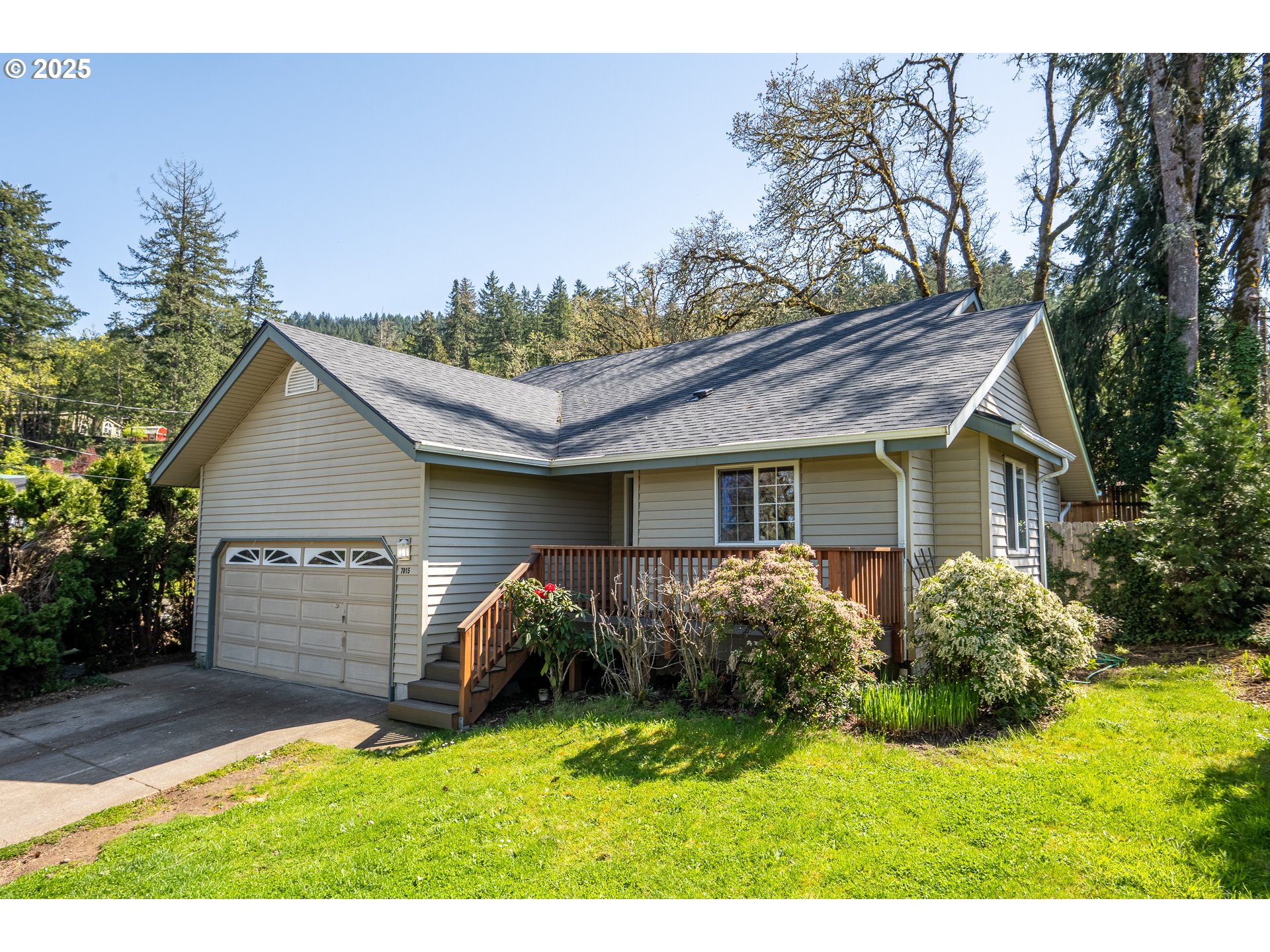 a view of a backyard with a garden and plants