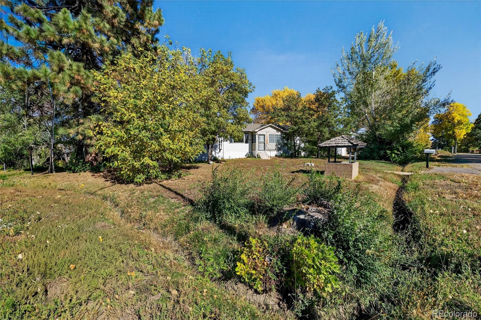 6795 West 31st Avenue Wheat Ridge, CO 80214 - Photo 20 of 35 a view of a yard with a tree