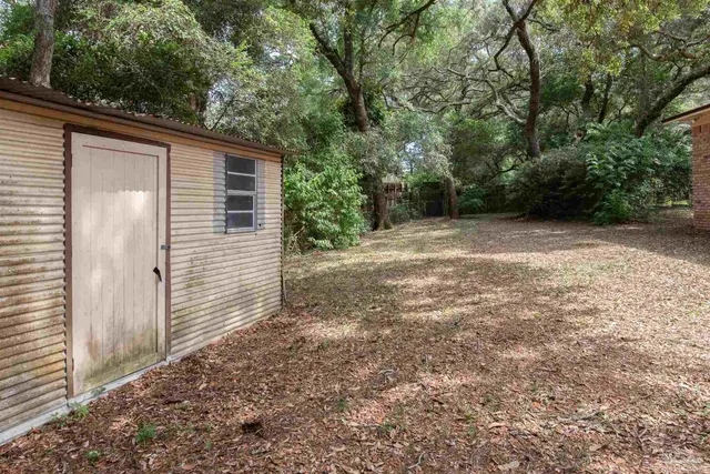 a view of a backyard with large trees and plants