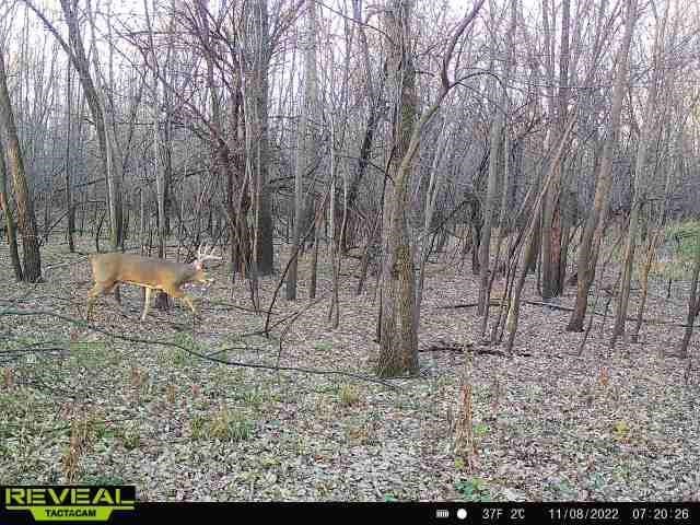 22-nd 22-nd Avenue Road Vinton, IA 52349 - Photo 3 of 15 Gallery Image 3