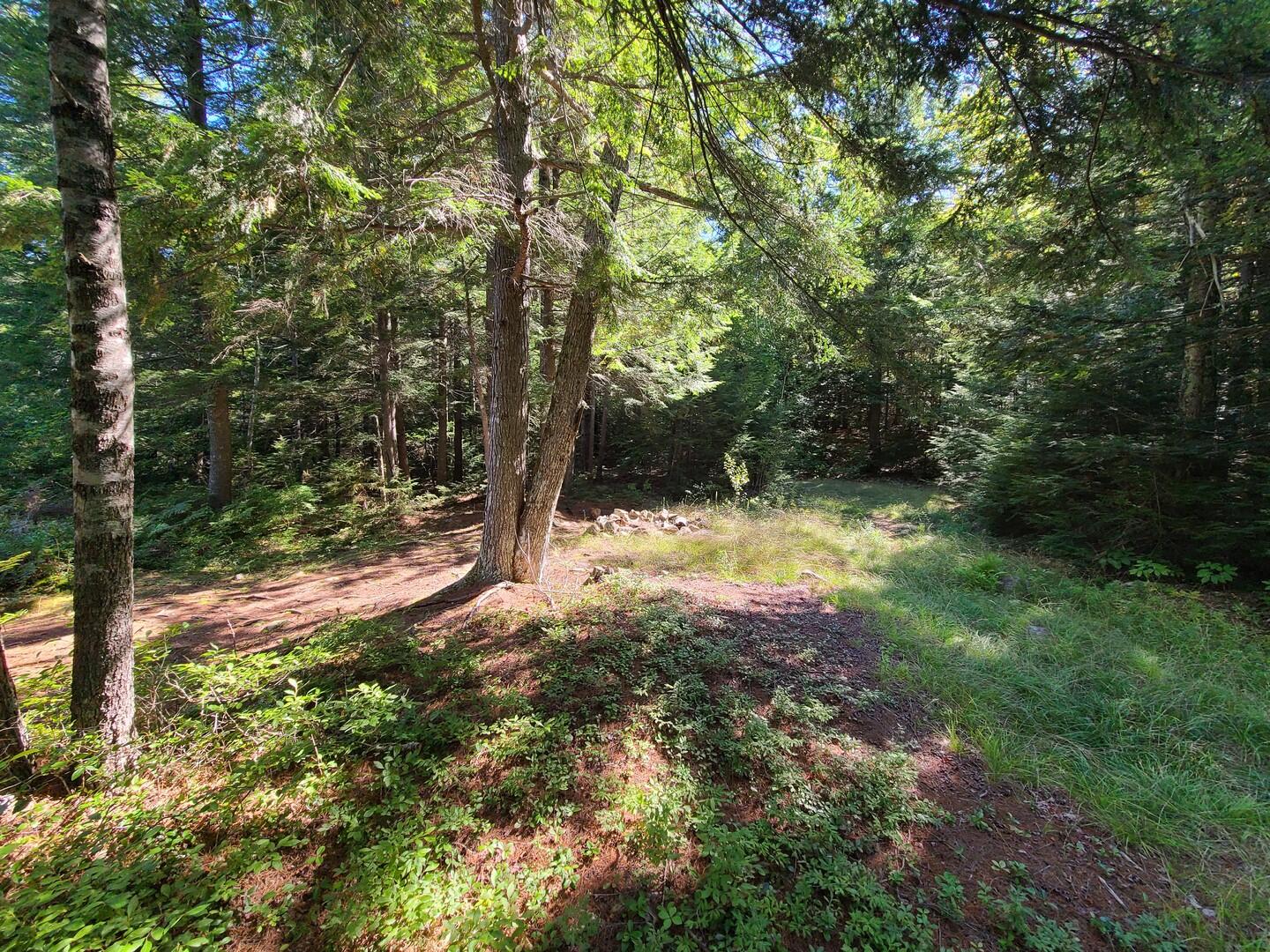 600 Dow Pond Road Palermo, ME 04354 - Photo 7 of 12 7 (Copy)