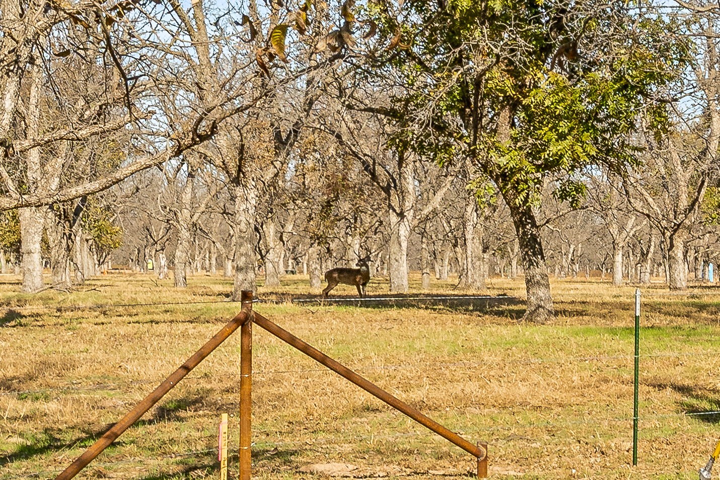 9617 Ravenswood Road Granbury, TX 76049 - Photo 32 of 50