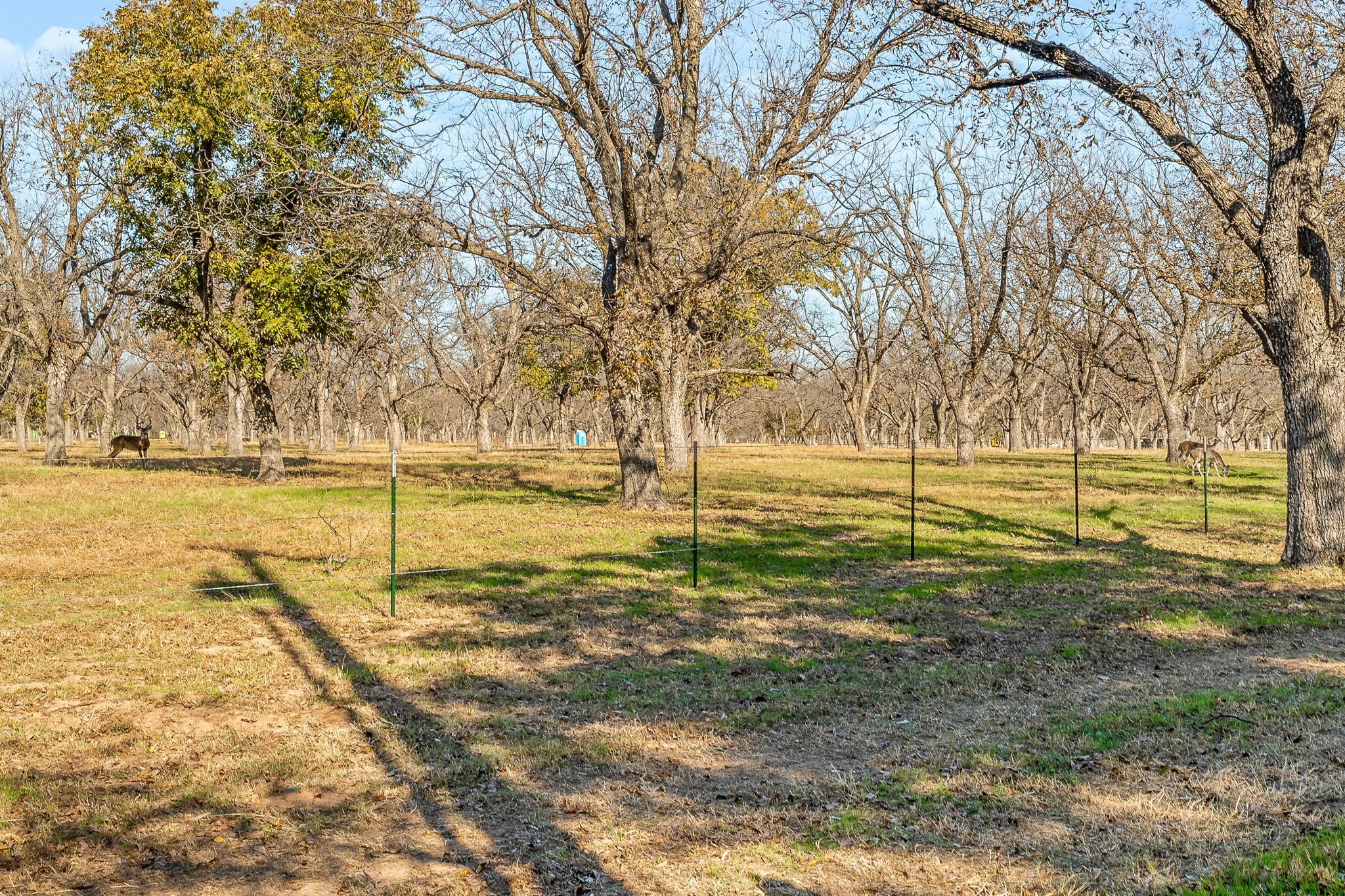 9617 Ravenswood Road Granbury, TX 76049 - Photo 33 of 50