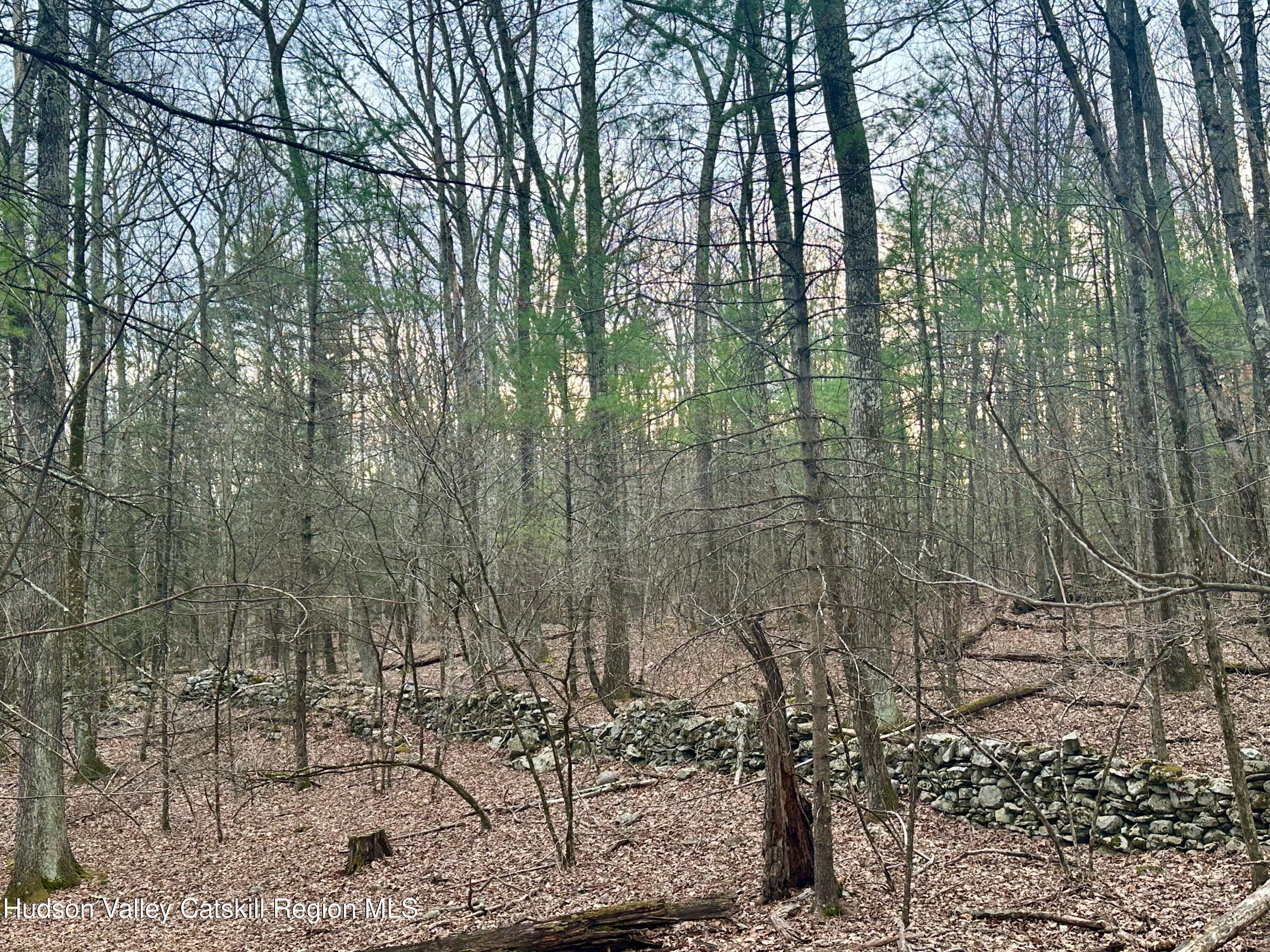 44 Cliff Road Accord, NY 12404 - Photo 11 of 19 a view of forest