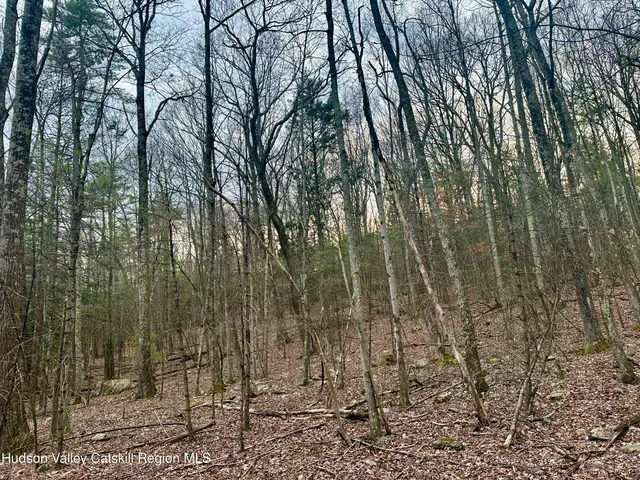 a view of house with trees