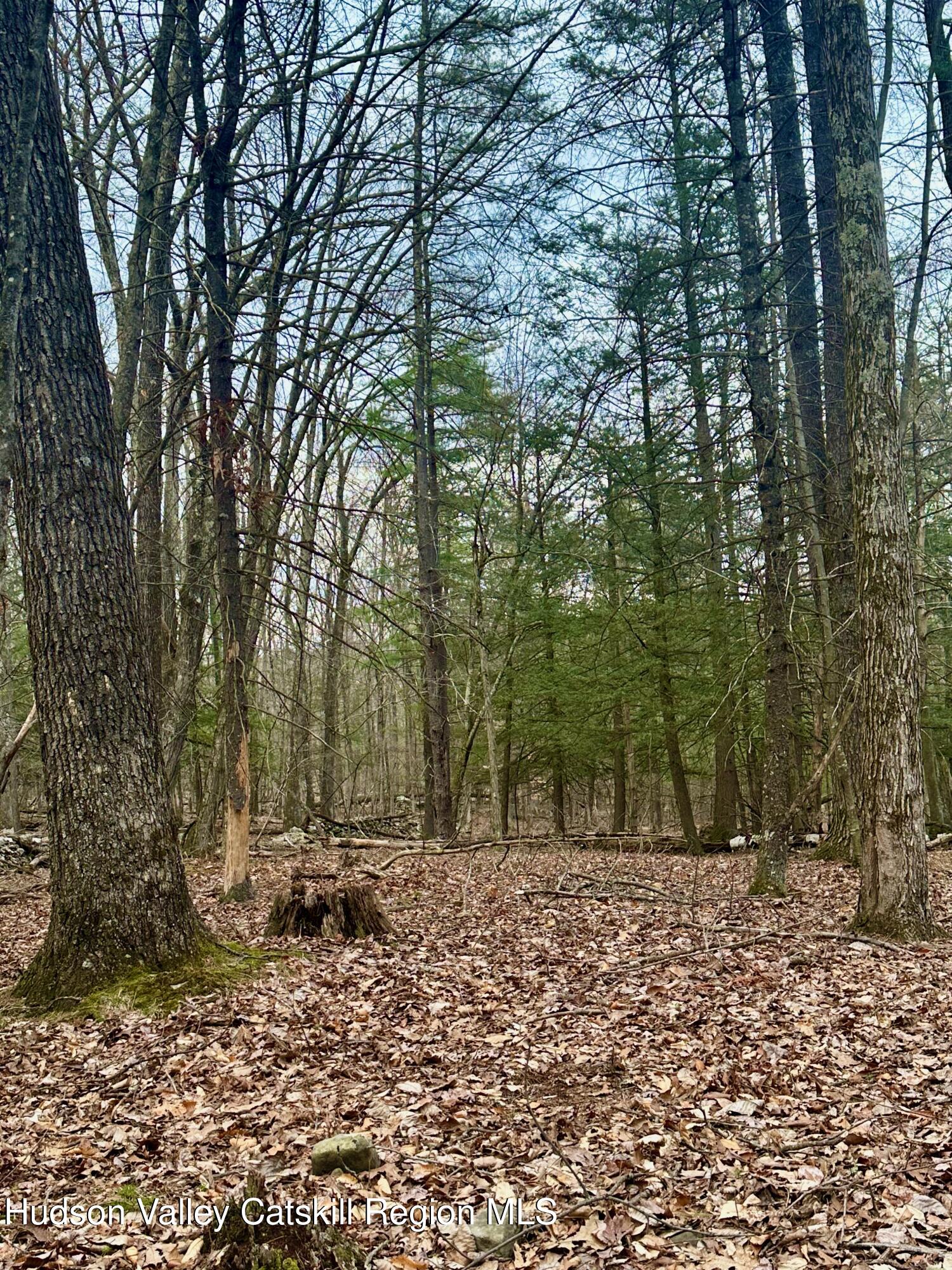 44 Cliff Road Accord, NY 12404 - Photo 19 of 19 a view of house with trees
