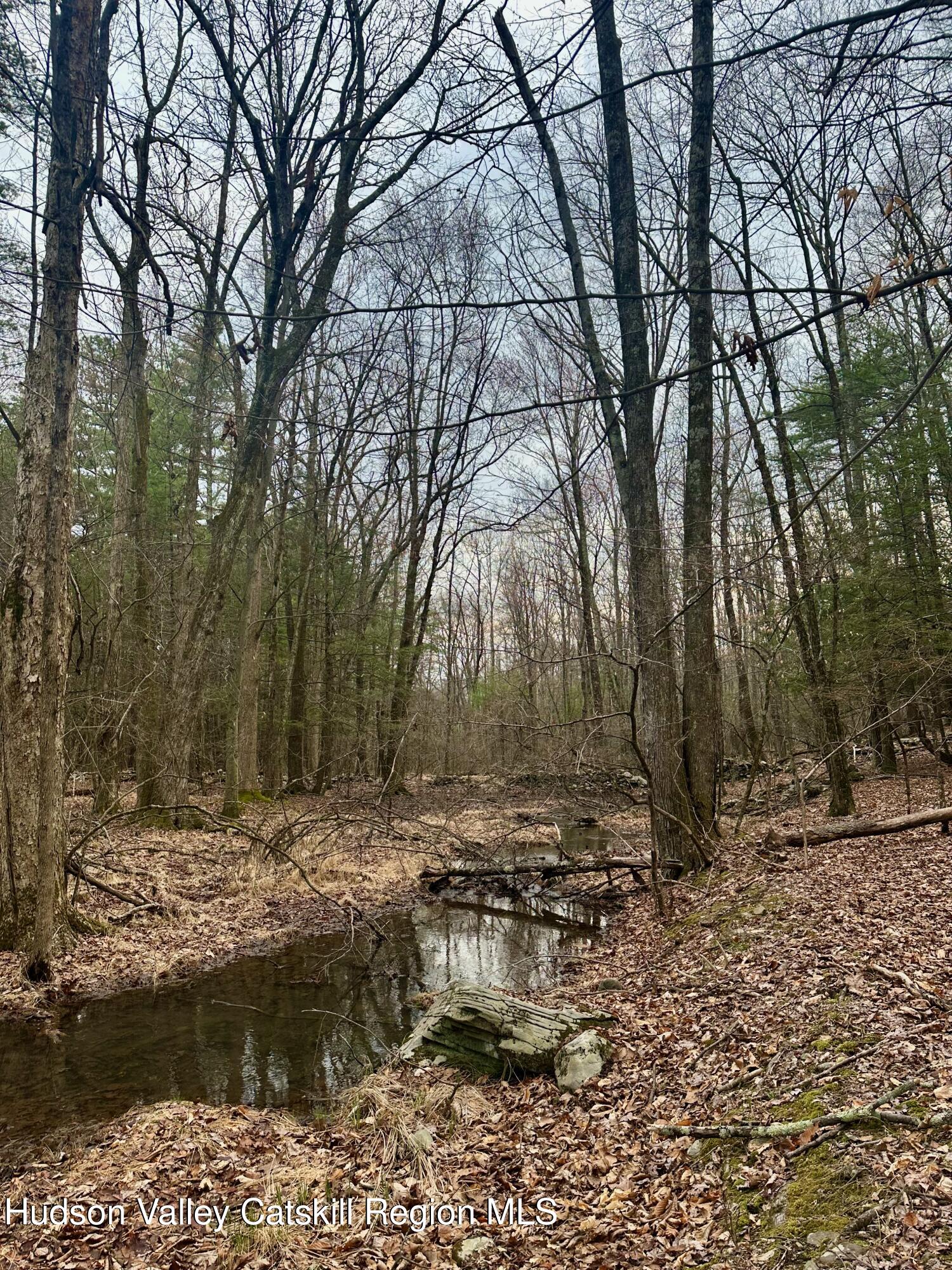 44 Cliff Road Accord, NY 12404 - Photo 8 of 19 a backyard of a house with a yard