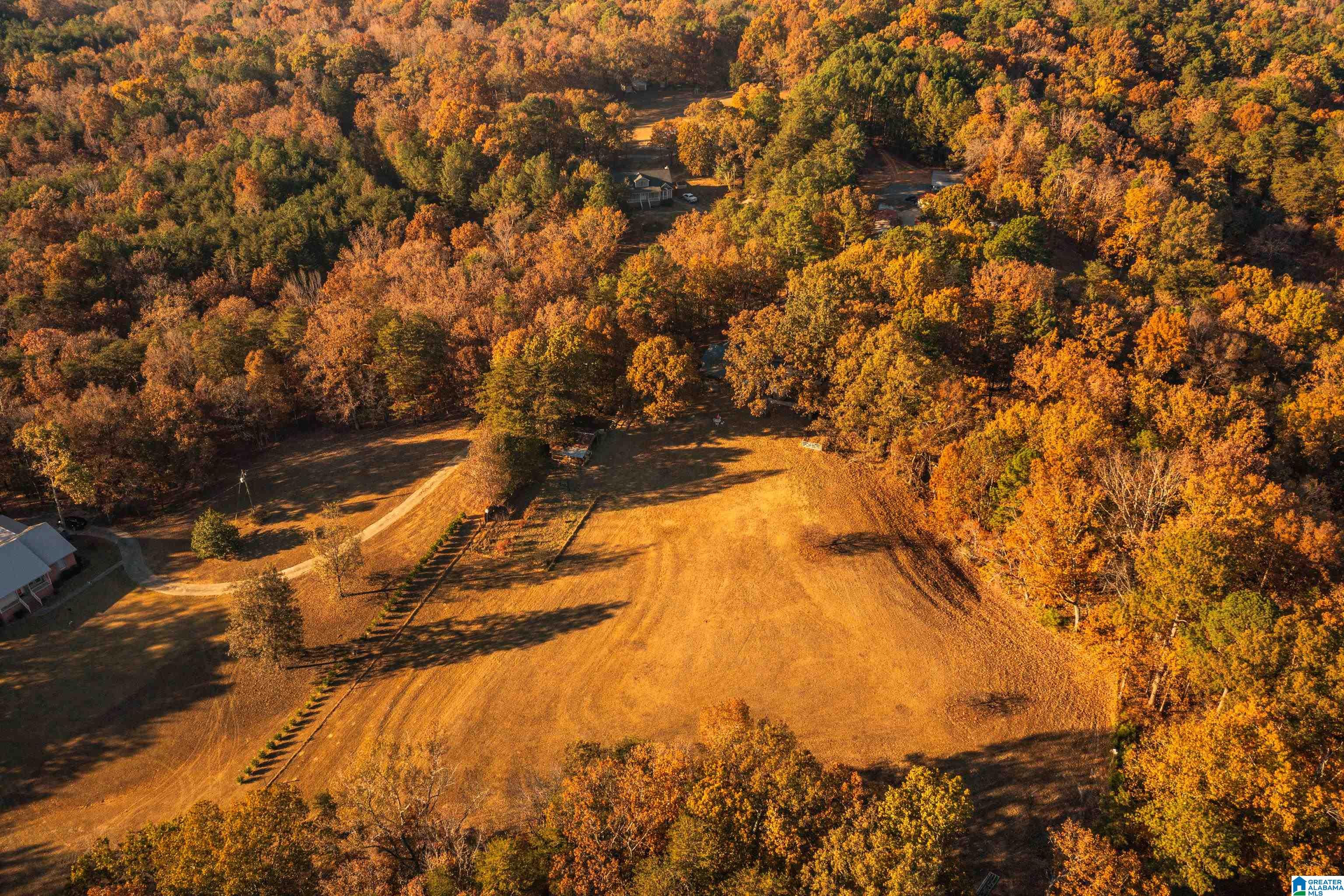 2619 Cole Road Morris, AL 35116 - Photo 3 of 52