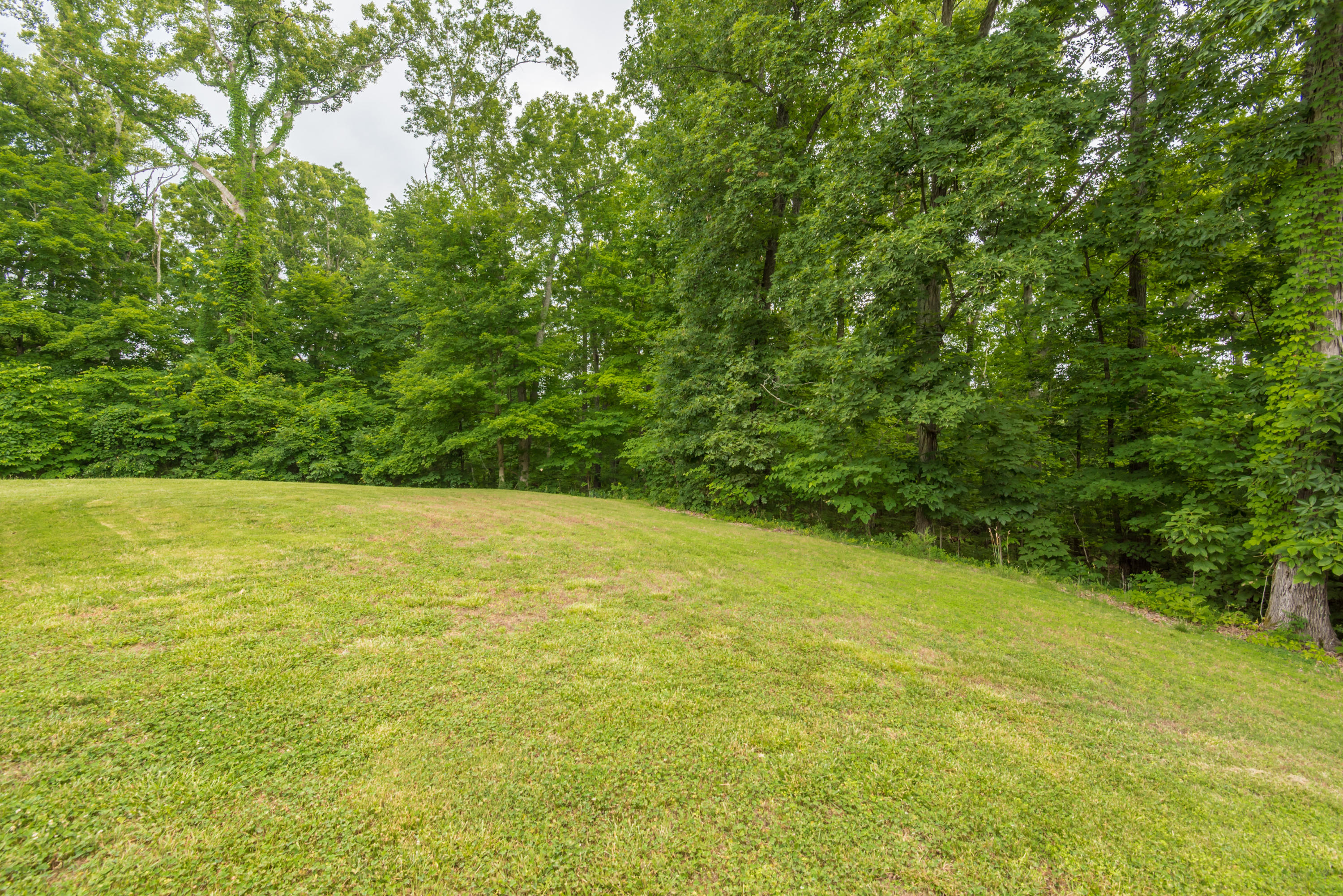 726 Disco Loop Road Friendsville, TN 37737 - Photo 33 of 38 726DiscoLoop-25