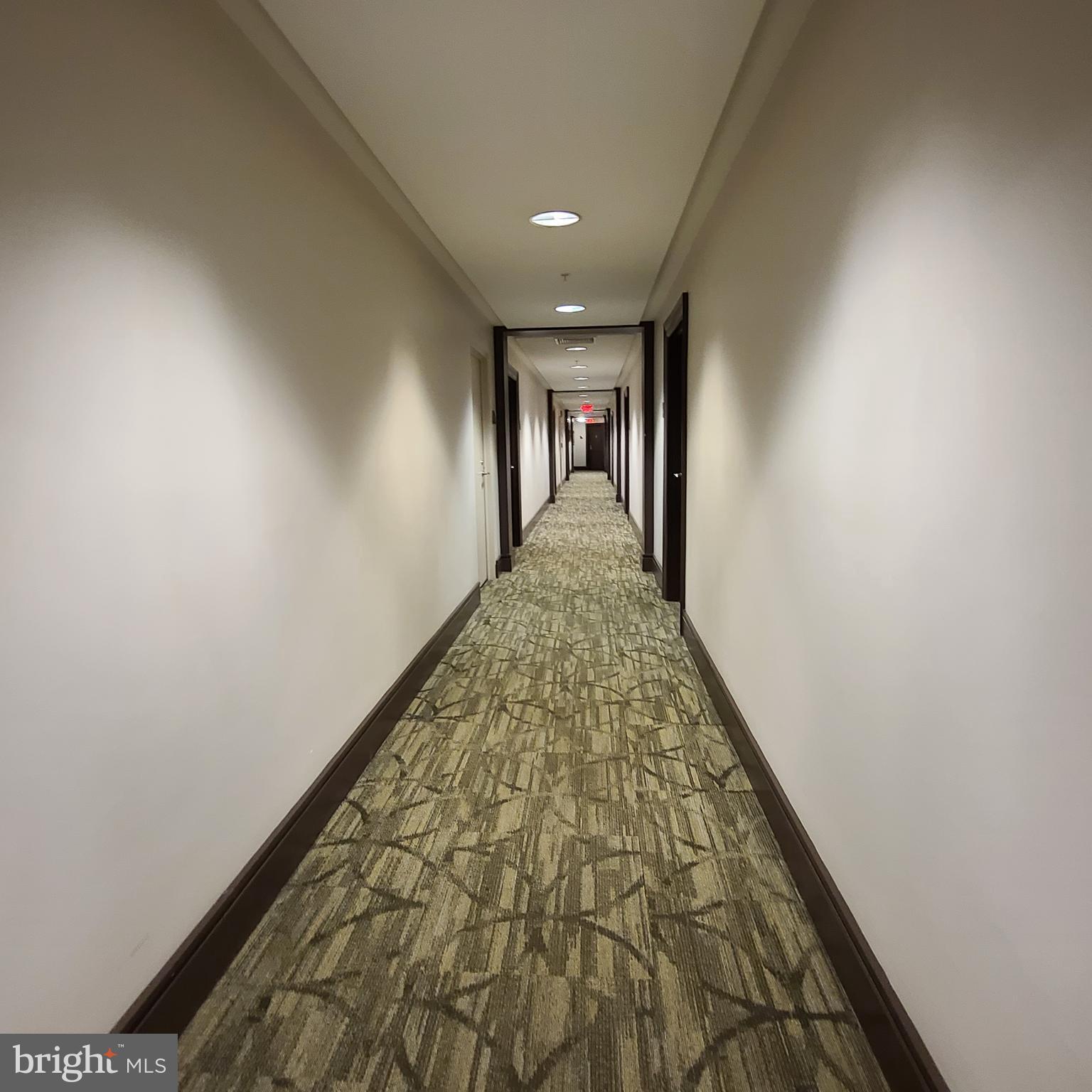 3600 South Glebe Road, Unit 330W Arlington, VA 22202 - Photo 9 of 34 a view of a hallway