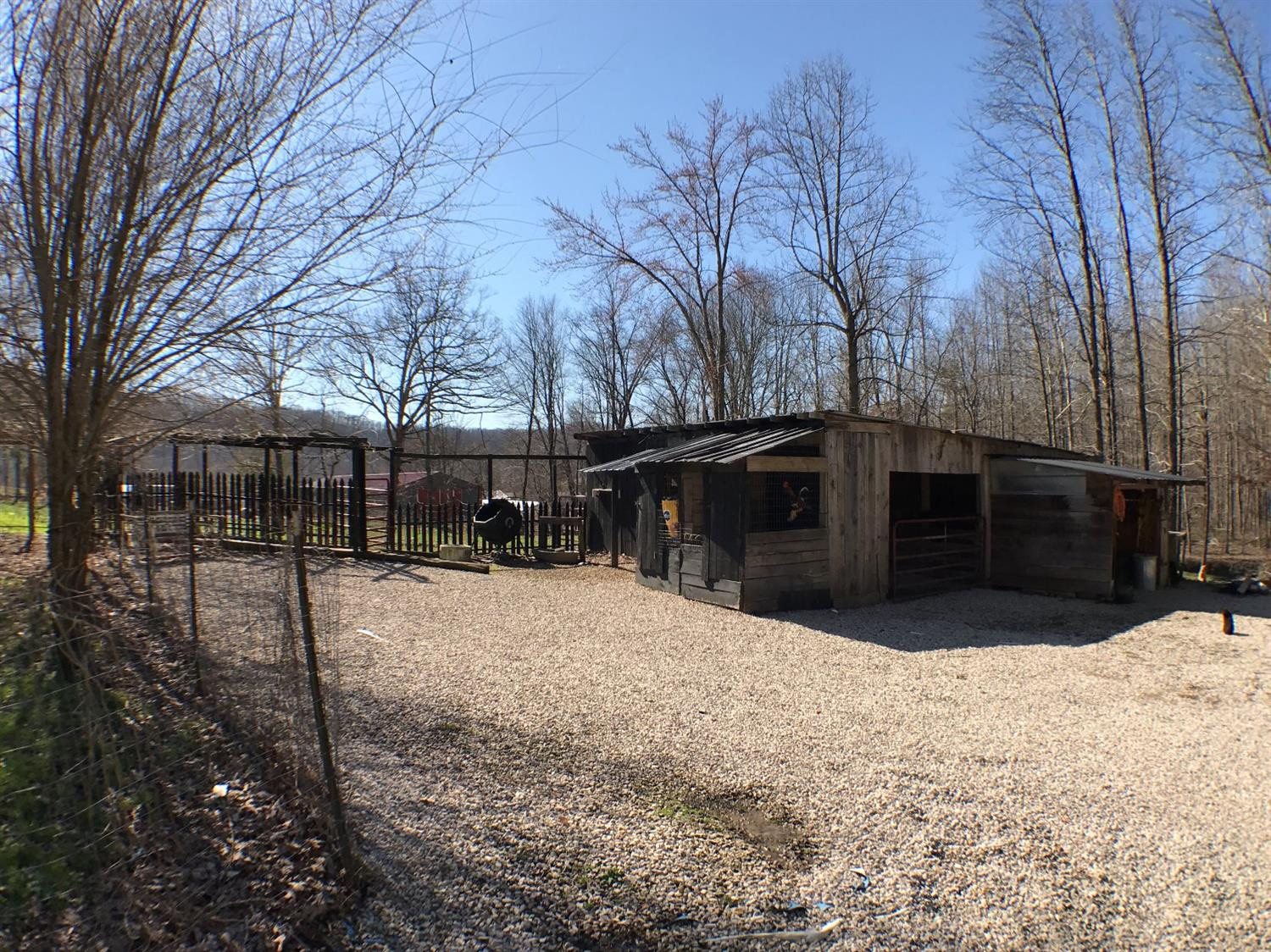 99 Haven Road Means, KY 40346 - Photo 11 of 70 Photo 11
