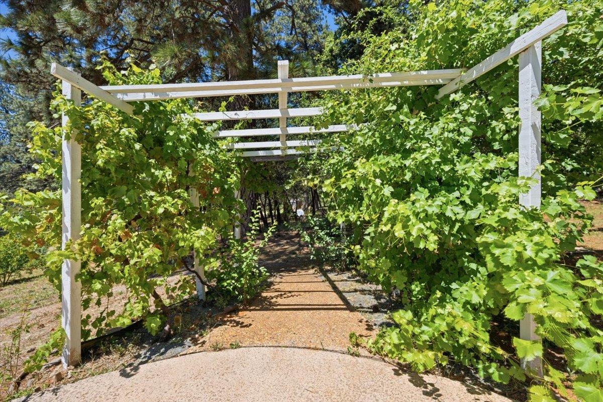 10704 Round Valley Road Grass Valley, CA 95949 - Photo 38 of 56