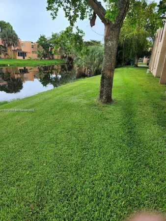 a view of a lake with a tree